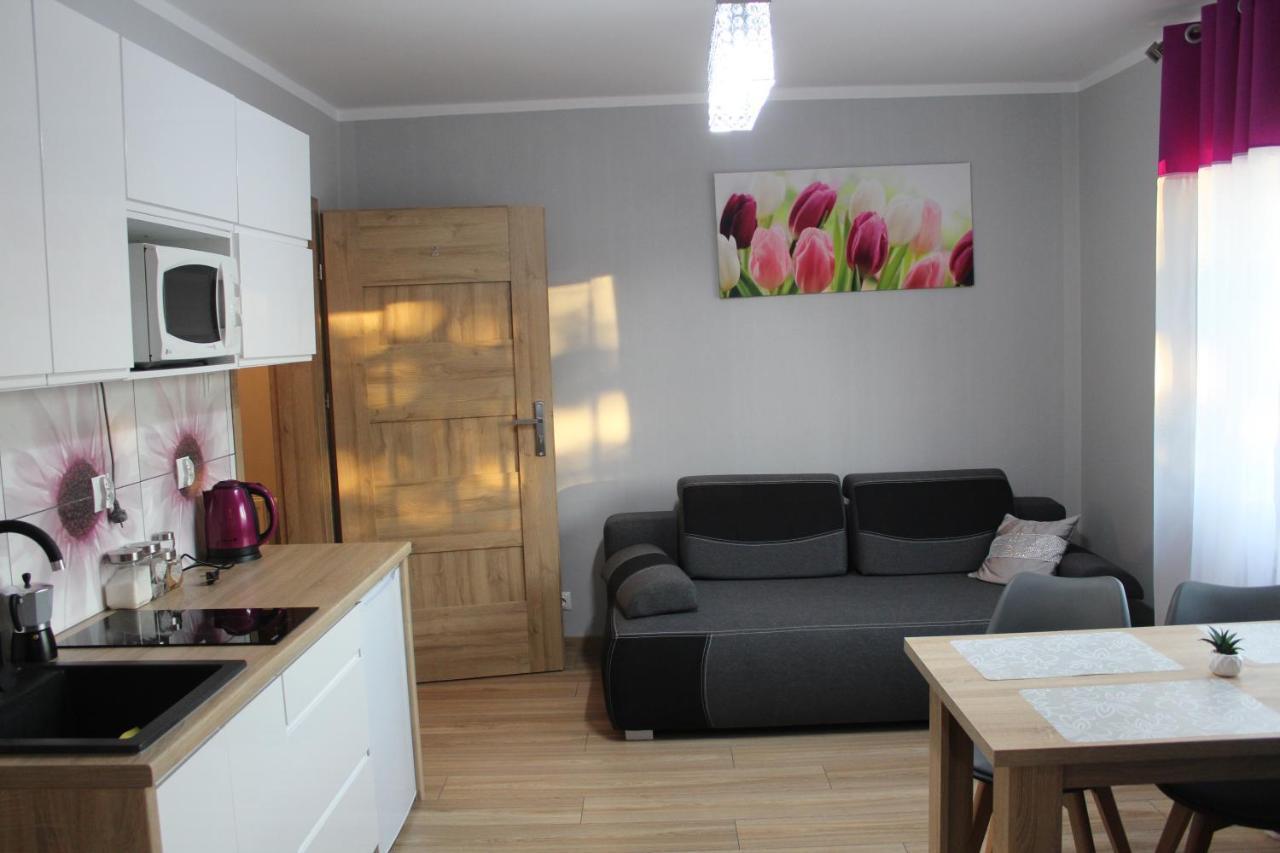 Domek Na Wzgorzu Muszyna Extérieur photo